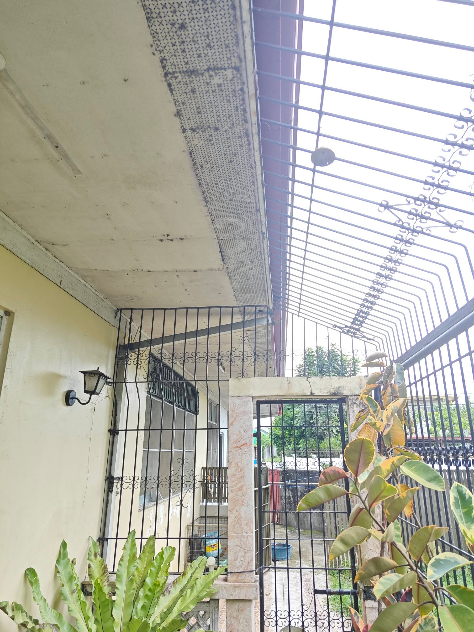50-year-old house major renovation — Roof Eaves Rehabilitation documentation
